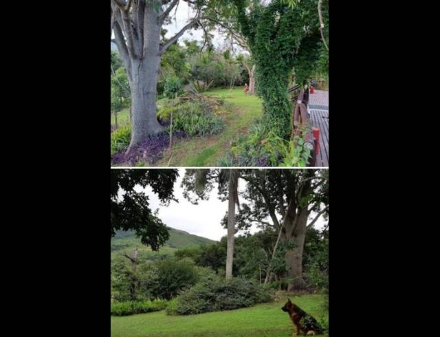 FARM FOR SALE IN NELSPRUIT RURAL
